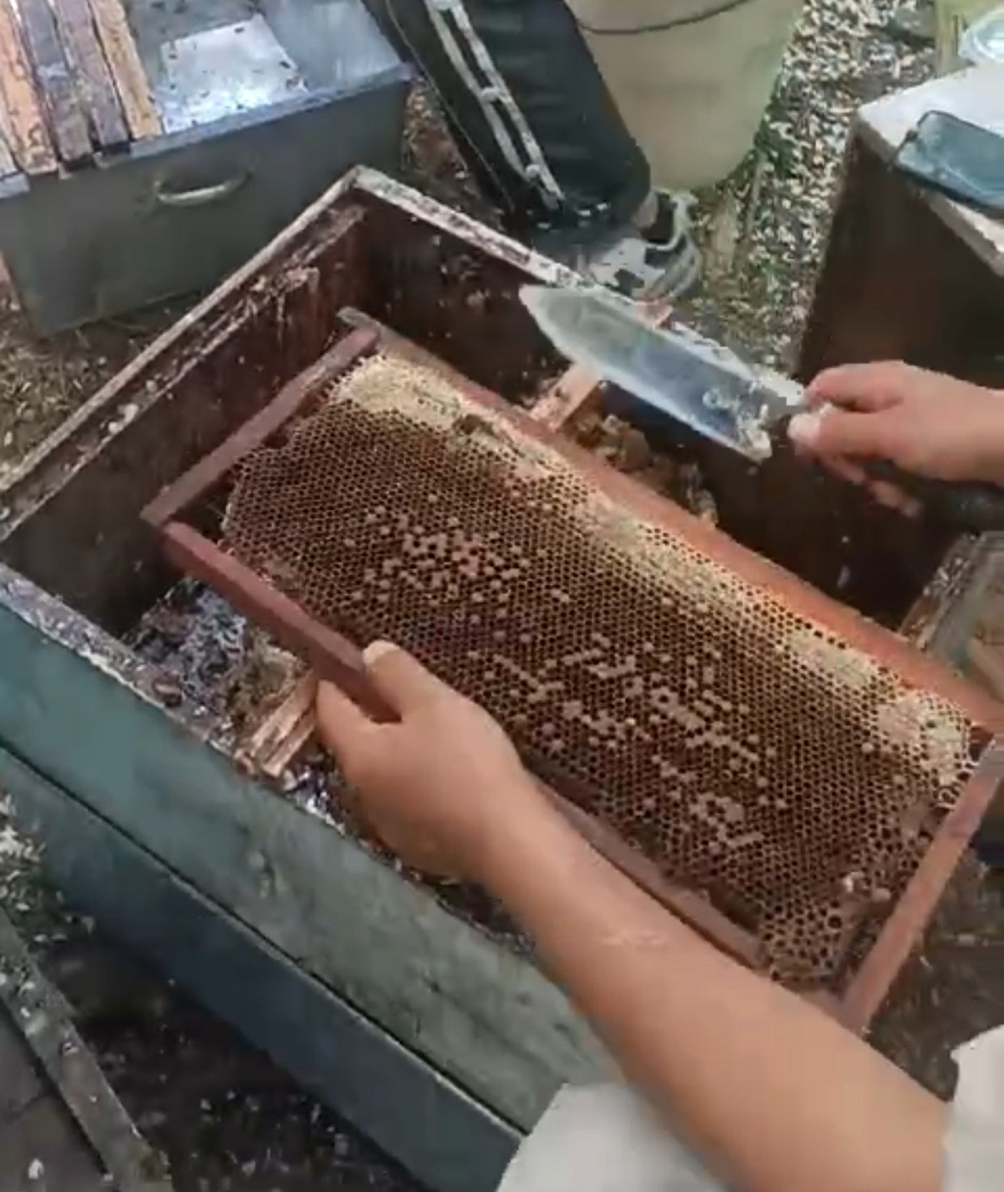 Kashmiri Dryfruit Mix Honey 500gms | Mixed with Kashmiri Dryfruits