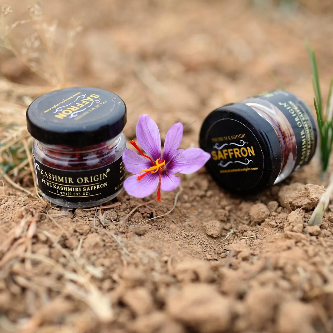 Pure Kashmiri Saffron - Kashmir Origin