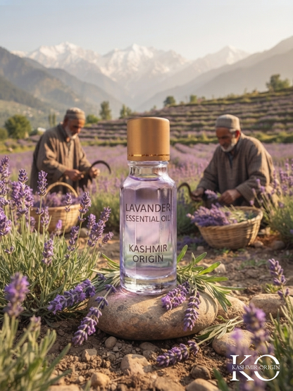 Kashmir Origin's Lavender Essential Oil | Nature's Ultimate Calming Elixir.